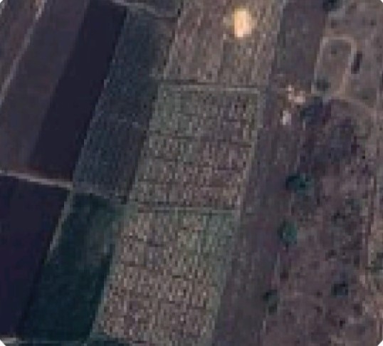 Venturiq Biofuels Pvt. Ltd.